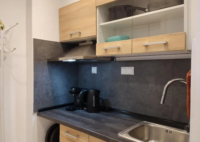Domus - Center Apartamento *